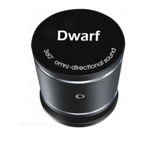 Speaker Model: Dwarf 26W